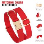 PET ARTIST Soft PU Leather Dog Collar and Leash Set, Bright & Stylish 5FT PU Leather Leash and Collar Set, Durable Pet Collars with Quick Release Metal Buckle for Medium Dogs,Red,M(13-19")