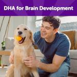 Wellness Rewarding Life Dog Treats, Training Treat, Grain Free, Soft Beef & Turkey (6 Ounce Bag)