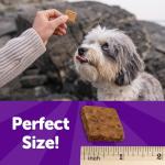 Wellness Rewarding Life Dog Treats, Training Treat, Grain Free, Soft Beef & Turkey (6 Ounce Bag)