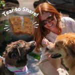 Wellness Rewarding Life Dog Treats, Training Treat, Grain Free, Soft Beef & Turkey (6 Ounce Bag)