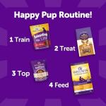 Wellness Rewarding Life Dog Treats, Training Treat, Grain Free, Soft Beef & Turkey (6 Ounce Bag)