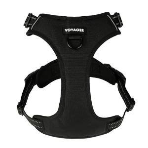 Voyager Dog Harness Dual Leash Attachment No-Pull Control Adjustable Soft but Strong Pet Harness for Medium and Large Dogs with 3M Reflective Technology, Black Nylon, M (Chest: 20-25")