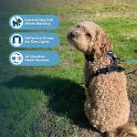 Voyager Dog Harness Dual Leash Attachment No-Pull Control Adjustable Soft but Strong Pet Harness for Medium and Large Dogs with 3M Reflective Technology, Black Nylon, M (Chest: 20-25")