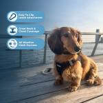 Best Pet Supplies Voyager Step-in Air Harness - All Weather Mesh, Reflective, No Pull Harness for Dogs, Cats - Secure with Hook & Loop Fastener, Buckle, Double D-Rings - Black, S