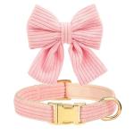 Didog Cute Dog Collar and Leash Set with Bowtie, Girl Dog Collars Metal Buckle Adjustable for Small Medium Dogs(Pink, M)
