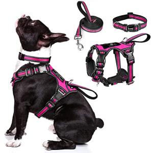 WINSEE Pet Harness Collar and Leash Set, All-in-one Reflective Dog Harness No Pull with Adjustable Buckles for Puppies, Small, Medium, Large, and Extra-Large Dogs (Medium, Rosy)