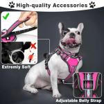 WINSEE Pet Harness Collar and Leash Set, All-in-one Reflective Dog Harness No Pull with Adjustable Buckles for Puppies, Small, Medium, Large, and Extra-Large Dogs (Medium, Rosy)