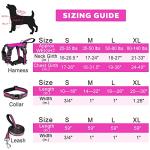 WINSEE Pet Harness Collar and Leash Set, All-in-one Reflective Dog Harness No Pull with Adjustable Buckles for Puppies, Small, Medium, Large, and Extra-Large Dogs (Medium, Rosy)