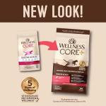 Wellness CORE+ Adult Dry Cat Food for Indoor and Outdoor Cats, Wholesome Grains, Natural, Digestive Health Salmon & Rice (11 Pound Bag)