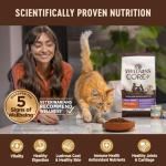 Wellness CORE+ Adult Dry Cat Food for Indoor and Outdoor Cats, Wholesome Grains, Natural, Digestive Health Salmon & Rice (11 Pound Bag)