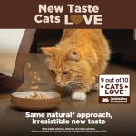 Wellness CORE+ Adult Dry Cat Food for Indoor and Outdoor Cats, Wholesome Grains, Natural, Digestive Health Salmon & Rice (11 Pound Bag)