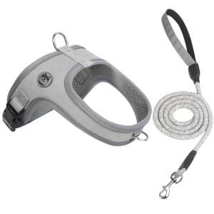 Dog Harness and Leash Set, No Pull Saddle Style Pet Harness, Breathable Mesh Adjustable Reflective Dog Vest for Dogs and Cat Medium Small Harness 2 D-Rings, Grey, L