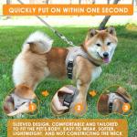 Dog Harness and Leash Set, No Pull Saddle Style Pet Harness, Breathable Mesh Adjustable Reflective Dog Vest for Dogs and Cat Medium Small Harness 2 D-Rings, Grey, L