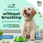 TropiClean Fresh Breath Water Additive for Dogs with Prebiotics, Gut Health for Dogs, Breath Freshener and Teeth Cleaning Solution, 16oz.