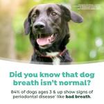 TropiClean Fresh Breath Water Additive for Dogs with Prebiotics, Gut Health for Dogs, Breath Freshener and Teeth Cleaning Solution, 16oz.