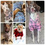 Plaid Dog Hoodie - Warm & Stylish Sweater