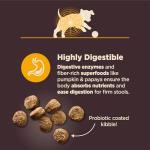 Wellness CORE Digestive Health Puppy Dry Dog Food, Wholesome Grains, Natural, Recipe for Dogs with Sensitive Stomachs, Recipe, (24-Pound Bag)