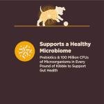 Wellness CORE Digestive Health Puppy Dry Dog Food, Wholesome Grains, Natural, Recipe for Dogs with Sensitive Stomachs, Recipe, (24-Pound Bag)