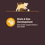 Wellness CORE Digestive Health Puppy Dry Dog Food, Wholesome Grains, Natural, Recipe for Dogs with Sensitive Stomachs, Recipe, (24-Pound Bag)