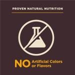 Wellness CORE Digestive Health Puppy Dry Dog Food, Wholesome Grains, Natural, Recipe for Dogs with Sensitive Stomachs, Recipe, (24-Pound Bag)