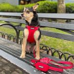 Best Pet Supplies Voyager Reflective Dog Leash or Collar with Neoprene Handle, for Small, Medium, and Large Breed Puppies, Cute and Heavy Duty for Walking, Running and Training - Red (Leash), S