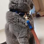 3PCS Bow Tie Dog Collar and Leash Set Plaid/Camo/Dots/Flower Dog Bandanas with Bell 3 Size Adjustable for Small Dogs Puppies and Cats (XS, Blue Plaid 1)