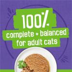 Purina Friskies Pate Wet Cat Food Variety Pack Seafood and Chicken Pate Favorites - 48 ct. Can