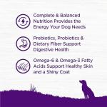 Wellness Complete Health Dry Dog Food, Wholesome Grains, Natural, Beef & Barley Recipe, (5-Poud Bag)