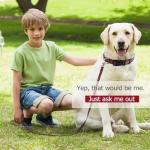 Elegant Dog Collar and Leash Set - Durable Soft Pet Collars and Leashes, Luxury Gift for Medium Dogs