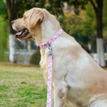 Olahibi Dog Collar and Leash Set, Lily Floral Pattern, Polyester Material, 5ft Leash, for Small Dogs.(S, Pink Lily)