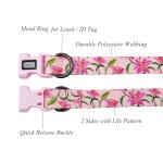 Olahibi Dog Collar and Leash Set, Lily Floral Pattern, Polyester Material, 5ft Leash, for Small Dogs.(S, Pink Lily)
