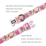 Olahibi Dog Collar and Leash Set, Lily Floral Pattern, Polyester Material, 5ft Leash, for Small Dogs.(S, Pink Lily)
