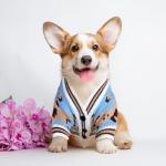 XGDMEIL Small Dog Sweaters Cute Bear Knitted Dog Cardigans Clothes for Small Medium Dogs Soft Pet Puppy Cat Knitting Outfits Fall Winter Warm Boy Girl Dogs Knitwear Coat Apparel（Blue,X-Small）