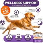 (2 Pack) Dog Multivitamin Chewable - 340 Chews - Dog Vitamins and Supplements with Glucosamine - Hip & Joint, Pet Immune Support, Gut & Heart Health - Senior & Puppy Multivitamin Pet Supplement