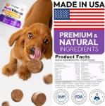 (2 Pack) Dog Multivitamin Chewable - 340 Chews - Dog Vitamins and Supplements with Glucosamine - Hip & Joint, Pet Immune Support, Gut & Heart Health - Senior & Puppy Multivitamin Pet Supplement