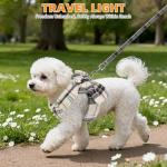 KOOLTAIL Small Dog Harness and Leash Set,Step in No Pull&Choke Soft Mesh Padded Adjustable Pet Vest Harness with Bowtie for Extra-Samll Medium Dogs and Cats,Cute Harnesses for XS S Puppy Beige S