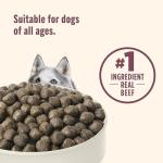 Nutrish High Protein Beef, Potato & Peas Recipe with Venison & Lamb Dry Dog Food, 12 lb. Bag, Packaging May Vary (Rachael Ray)