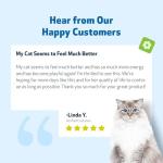 Pet Wellbeing Kidney Support Gold for Cats - Supports Normal Kidney Function & Detox, Healthy Hydration & Energy with Rehmannia & Dong Quai - NASC Certified & Vet-Formulated - 2 oz Liquid Formula