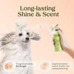 PAWFUME Dog Perfume Spray Long Lasting Scent for Grooming, Show Dog, 1-Pack – Keep Your Pup Fresh All Day – Hypoallergenic, Alcohol-Free, Detangling Formula – Moisturizing Pet Cologne Spray for Dogs