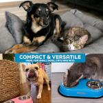 Master Pet Supply Double Dog Bowls Set with Elevated Base and 2 (8 oz) Stainless Steel Removable Dishes (Black Velvet) – Double Cat Food Water Bowl, Dog Puppy Food Bowl Set, Rust Resistant