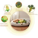 CT SUN Plush Corn & Broccoli Dog Toy Set – Squeaky Plush Teeth-Cleaning Toys with Realistic Texture, Cute Interactive Tug Toys for Dogs