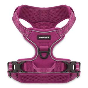 Voyager Dog Harness Dual Leash Attachment No-Pull Control Adjustable Soft but Strong Pet Harness for Medium and Large Dogs with 3M Reflective Technology, Fuchsia Nylon, XS (Chest: 13-16")