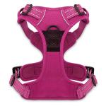 Voyager Dog Harness Dual Leash Attachment No-Pull Control Adjustable Soft but Strong Pet Harness for Medium and Large Dogs with 3M Reflective Technology, Fuchsia Nylon, XS (Chest: 13-16")