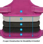 Voyager Dog Harness Dual Leash Attachment No-Pull Control Adjustable Soft but Strong Pet Harness for Medium and Large Dogs with 3M Reflective Technology, Fuchsia Nylon, XS (Chest: 13-16")