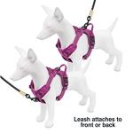 Voyager Dog Harness Dual Leash Attachment No-Pull Control Adjustable Soft but Strong Pet Harness for Medium and Large Dogs with 3M Reflective Technology, Fuchsia Nylon, XS (Chest: 13-16")