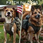 2 PCS Service Dog Please Don't Pet Me I'm Working Patch Tactical Badge Embroidered Hook and Loop Patch for Funny Cute Dogs Working Training Service Dog Working Dog Guide Dog Animals Harness