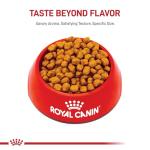 Royal Canin Breed Health Nutrition Shih Tzu Adult Dry Dog Food, 10 lb Bag