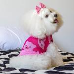 CuteBone Dog Sweater for Medium Large Dogs Pink Pig Knit Puppy Sweater Turtleneck Pet Winter Clothes Cat Apparel with Leash Hole