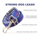 NISIYE Cute Plaid Dog Collar Harness and Leash with Safety Buckle - Adjustable and No Pull Comfortable Dog Collars for Small Puppy, Stylish Durable Gift for Boy Girl Pets