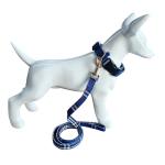 NISIYE Cute Plaid Dog Collar Harness and Leash with Safety Buckle - Adjustable and No Pull Comfortable Dog Collars for Small Puppy, Stylish Durable Gift for Boy Girl Pets